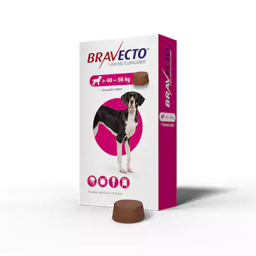 Bravecto Dog 40-56 Kg