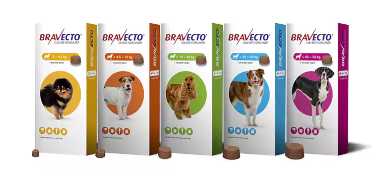 Bravecto Dog Chew Group Pack Pet Paradise