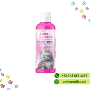 Luxury Perfumed Kitten Shampoo