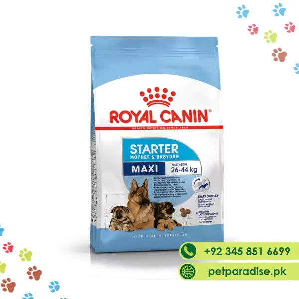 Royal Canin Maxi Starter