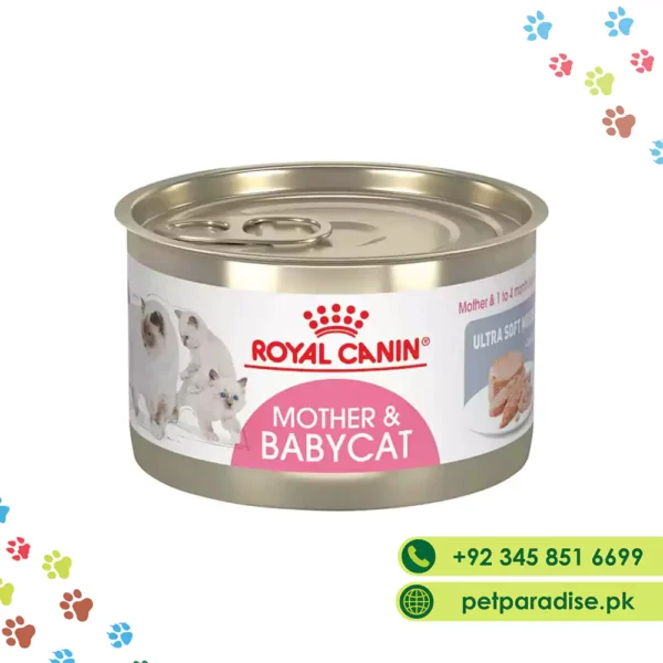 Royal Canin Mother And Baby Cat Tin